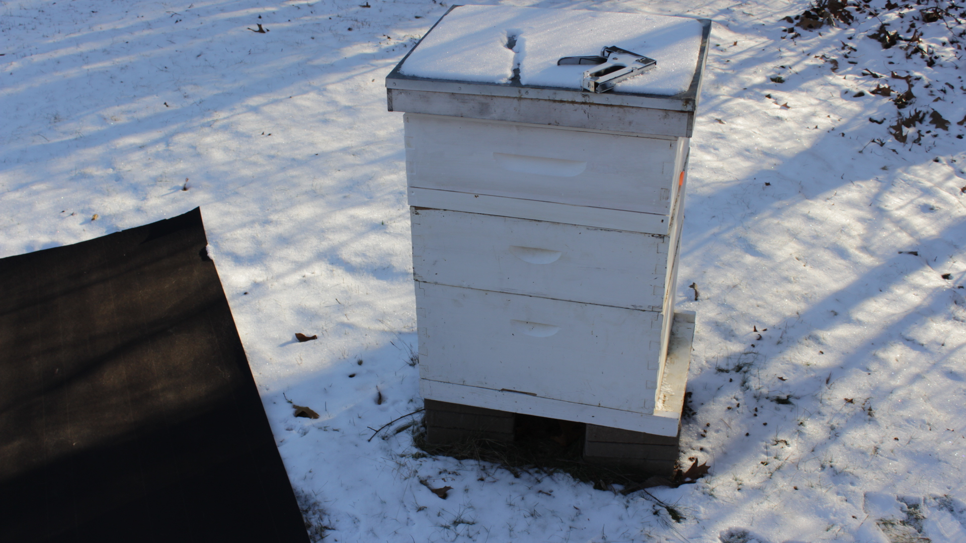 Winter hive work part 2